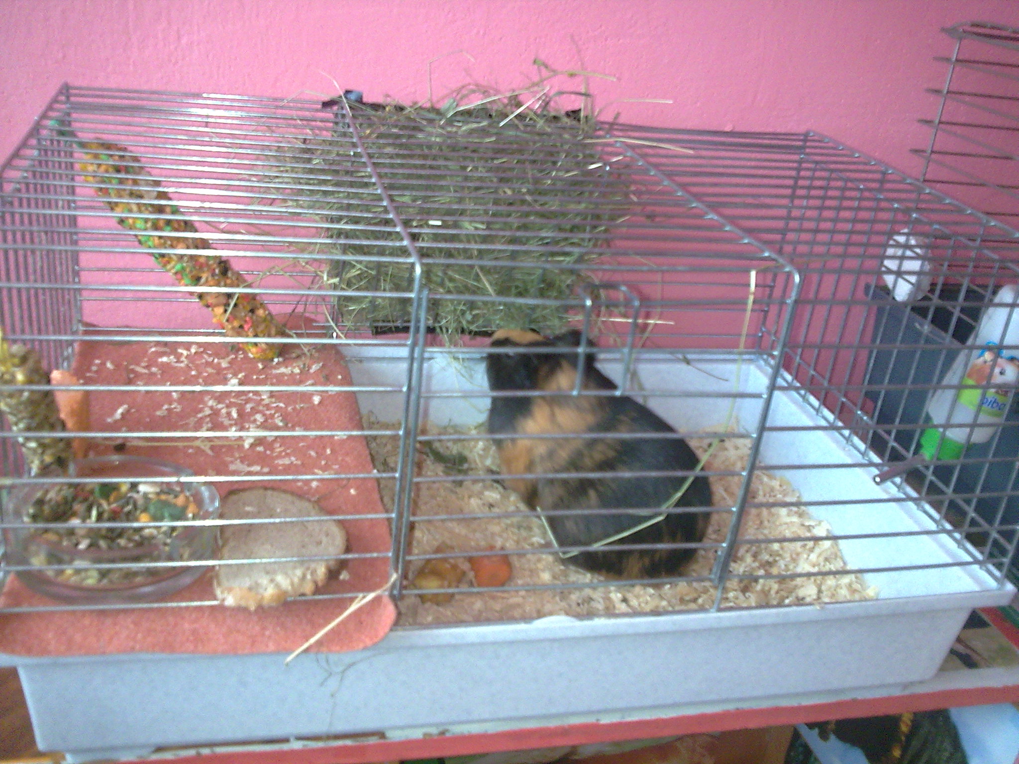 jeho klec